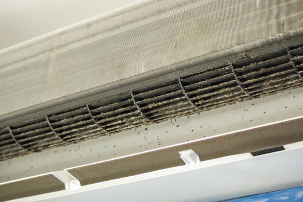 Best Air Duct Cleaning Near Me  in Water Valley, MS
